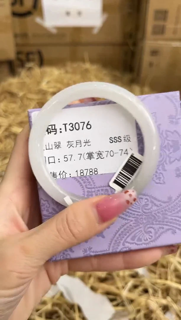 未镶嵌手镯石英质玉T3076