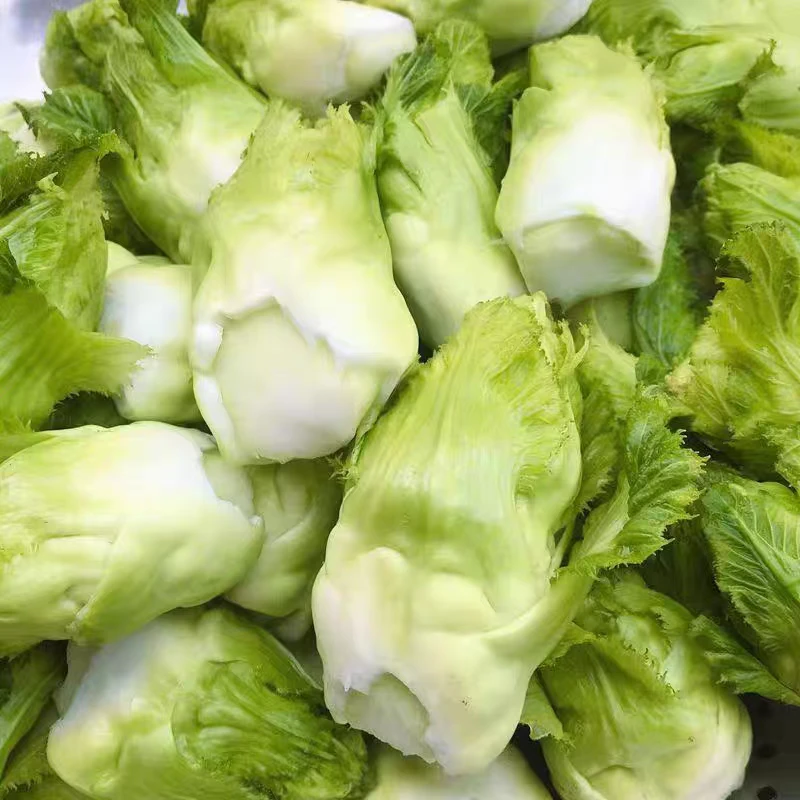 新鲜儿菜四川特产当季儿子菜娃娃菜现摘当季新鲜蔬菜农家新鲜蔬菜