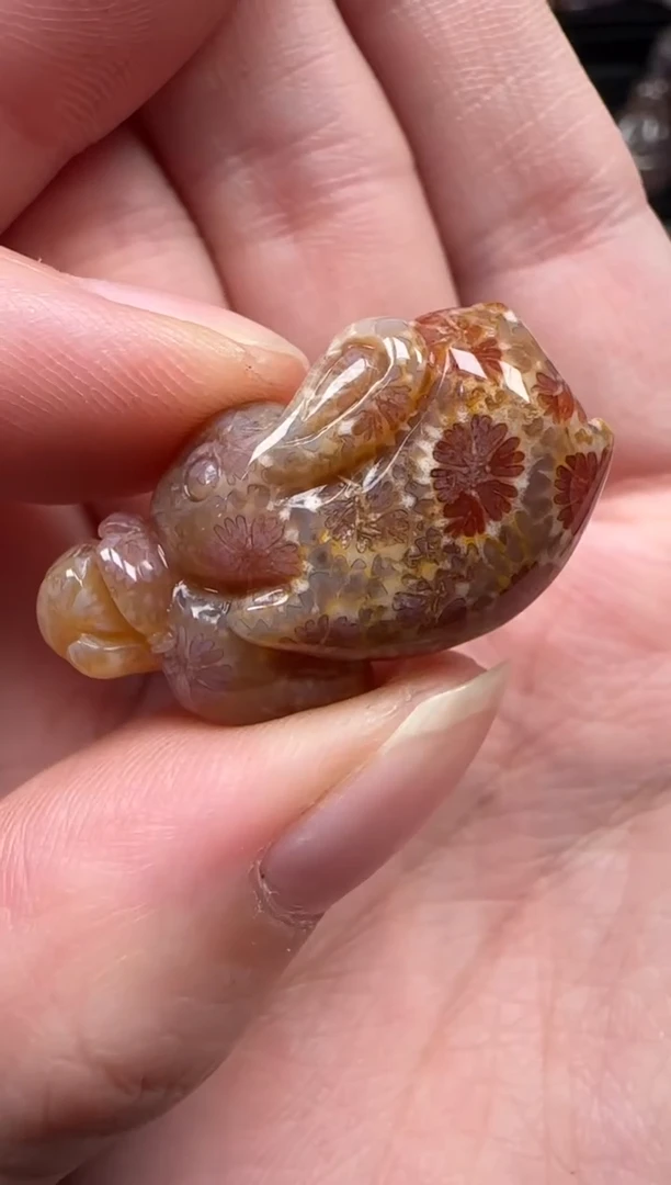 颈饰未镶嵌硅化珊瑚（珊瑚玉）140