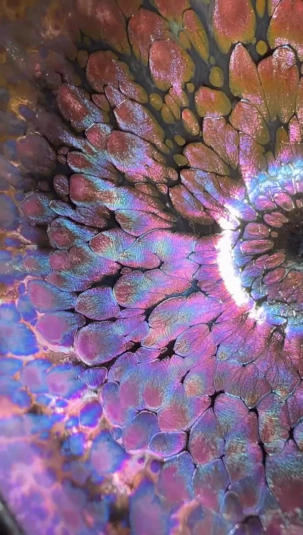 建窑建盏赵书全精品分享5