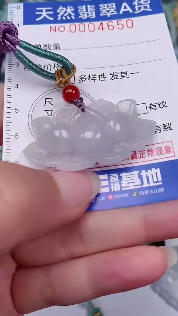 翡翠未镶嵌颈饰00004650