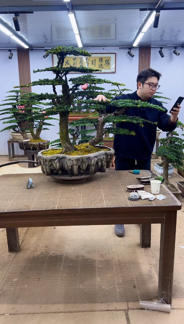 无花朵0000000000000