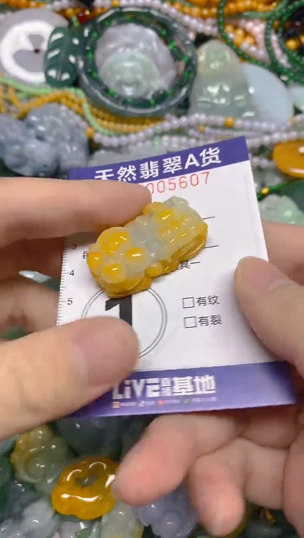 颈饰未镶嵌翡翠0005607