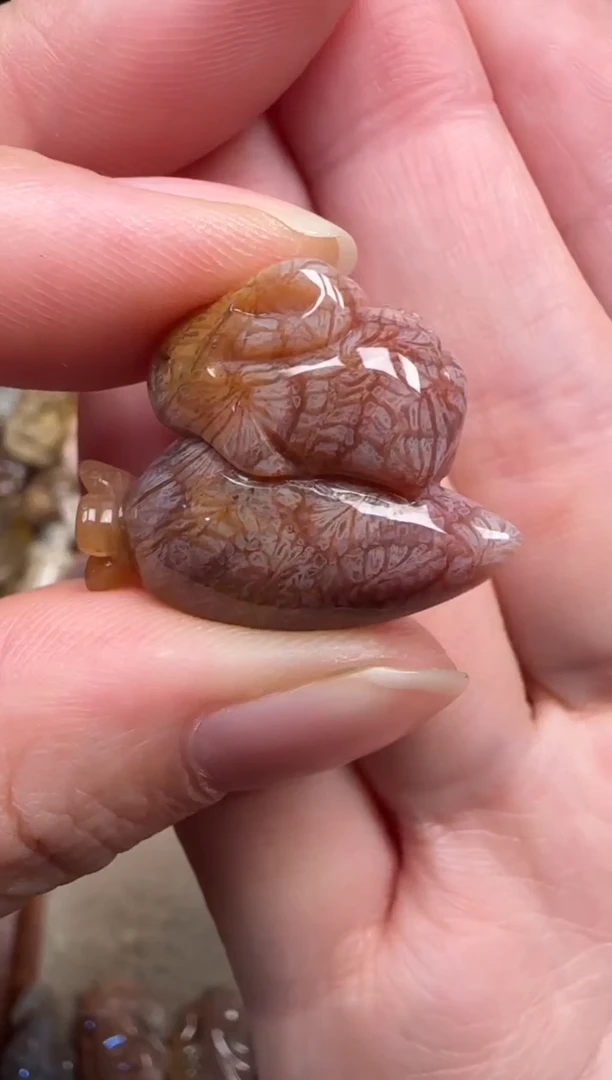 颈饰未镶嵌硅化珊瑚（珊瑚玉）532