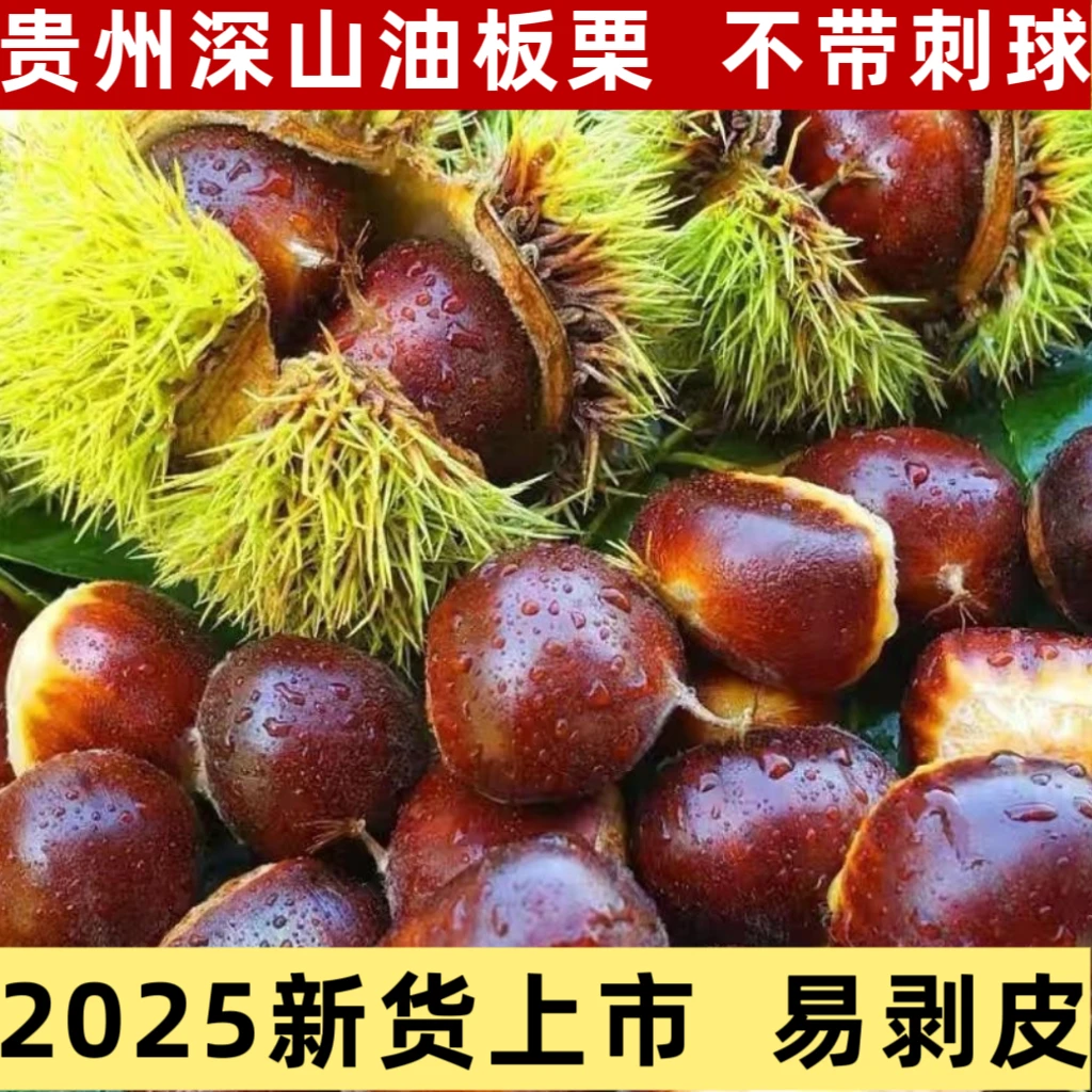 ［新货采摘5斤]贵州高山老树新鲜板板栗 粉糯香甜易去皮