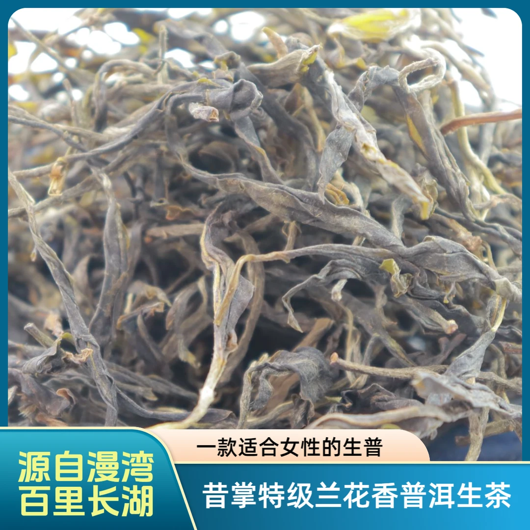 漫湾-昔掌森林兰香散料-2025年头春头采