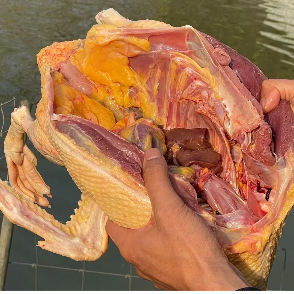 正宗农村自家养的土鸭【可帮杀好】