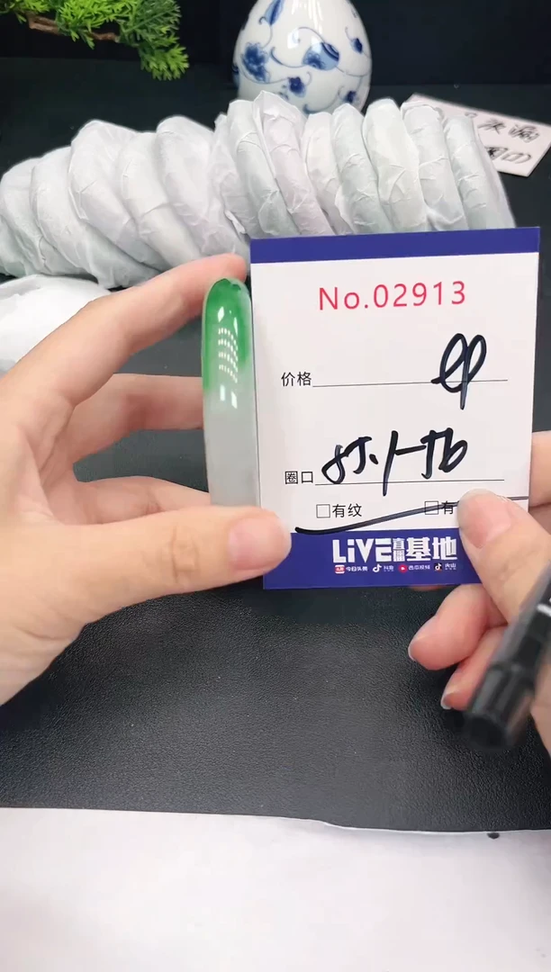 未镶嵌手镯翡翠2913