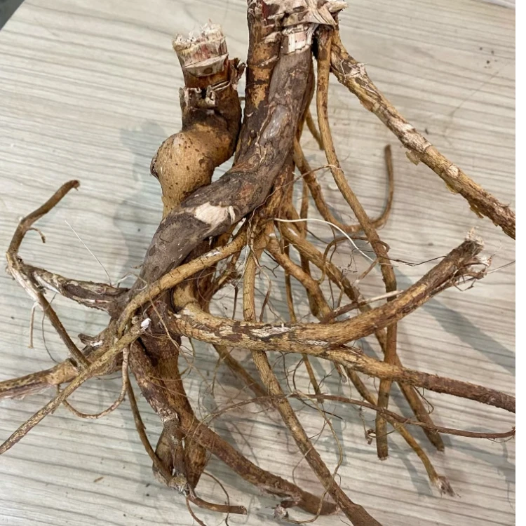 根茎山货土特产直播专用