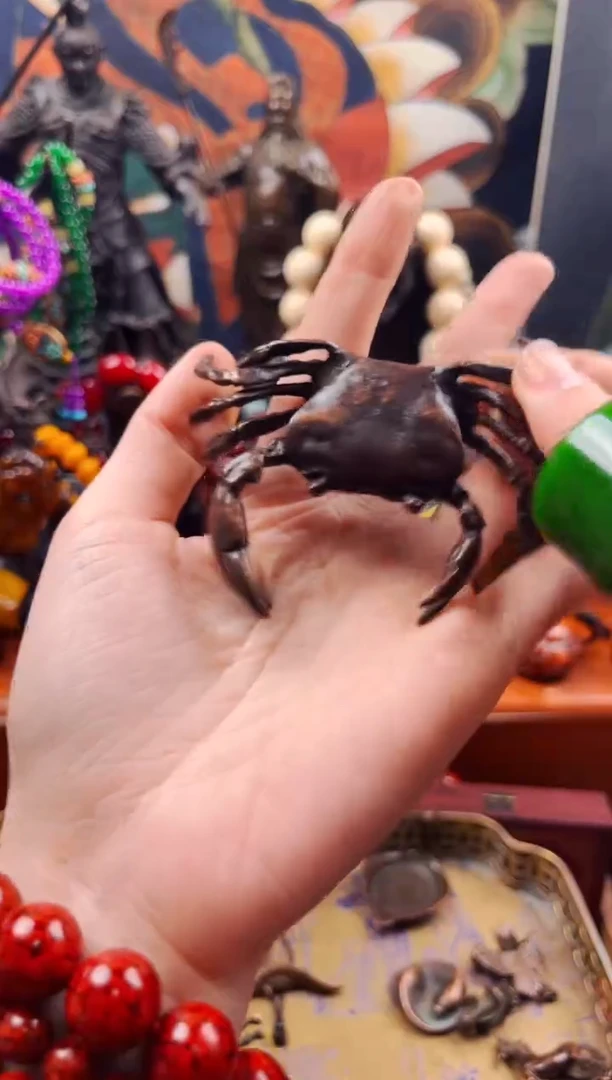 【闪购商品】飞姐专属精品推荐