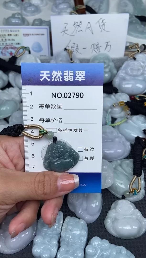 颈饰未镶嵌翡翠纯天然A货翡翠2790