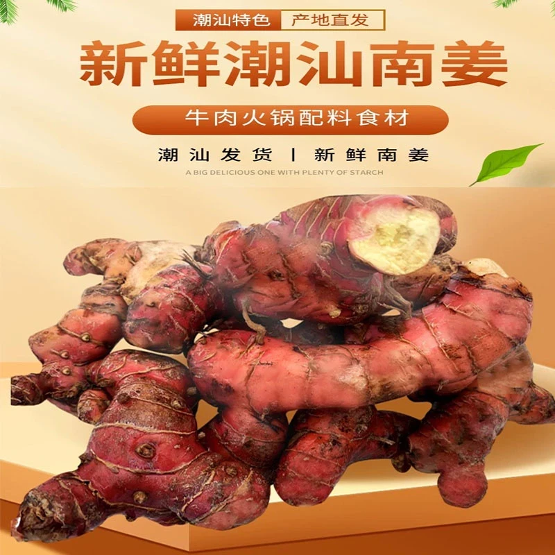 潮汕南姜卤水灵魂伴侣卤鹅潮汕正宗新鲜红皮山姜牛羊肉去膻提味