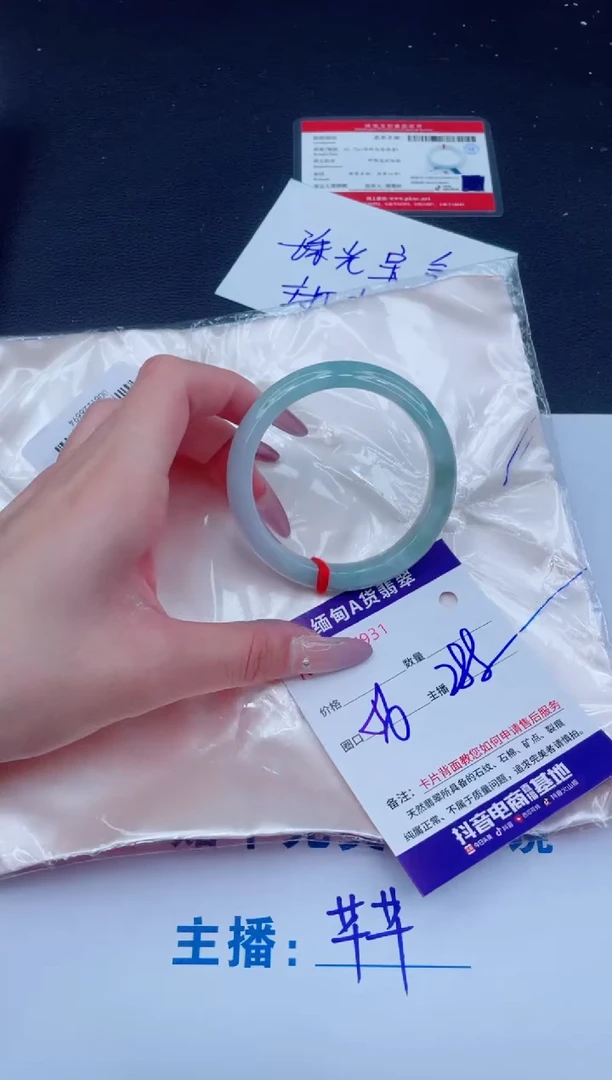未镶嵌手镯翡翠288