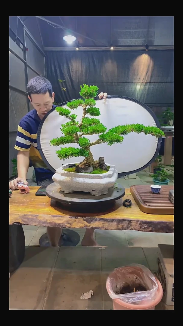 完全开放边*人1111111111