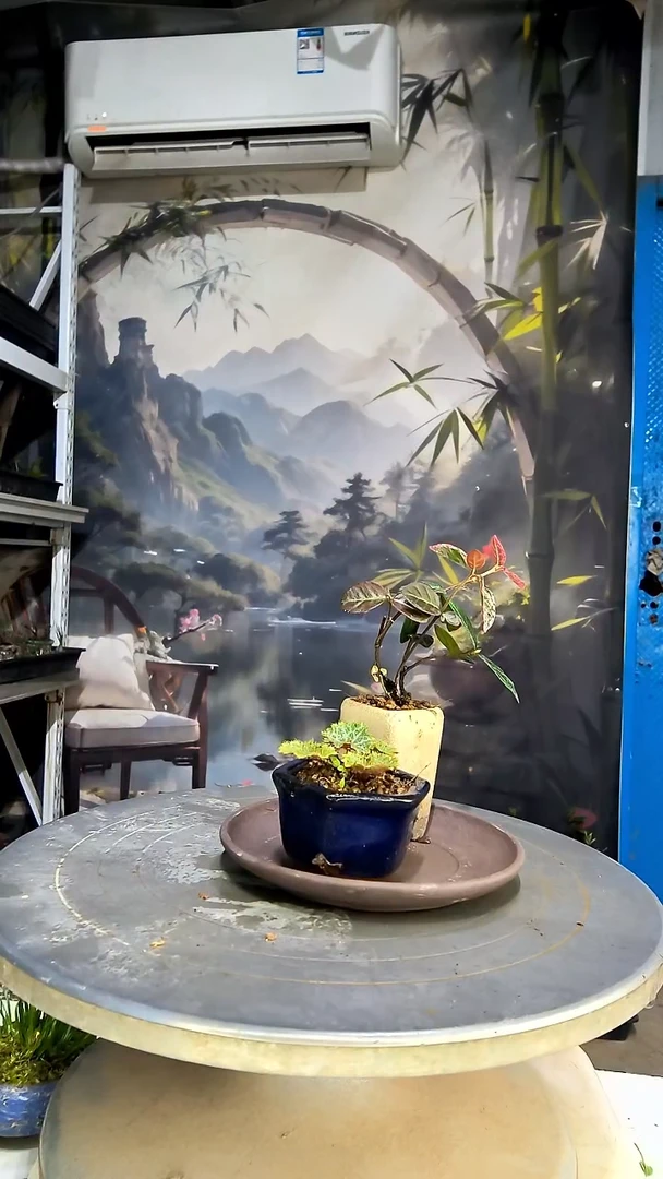 2*_中青园艺一物一拍花442