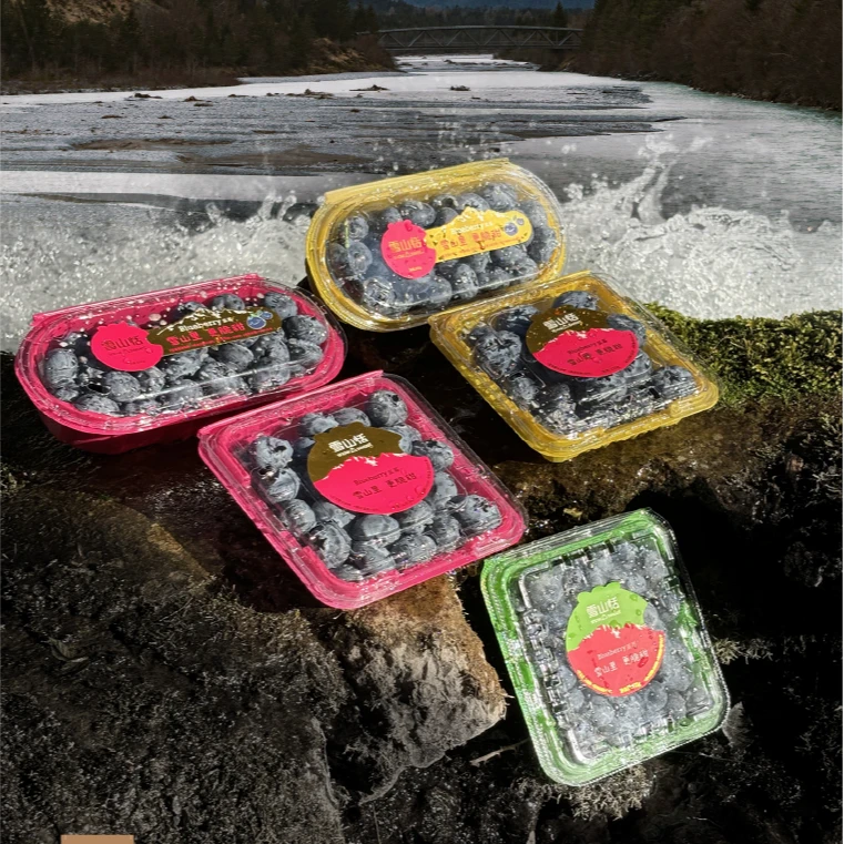 【雪山恬】云南高山蓝莓 纯甜无酸 花香浓郁 4/6/12盒装125g/盒