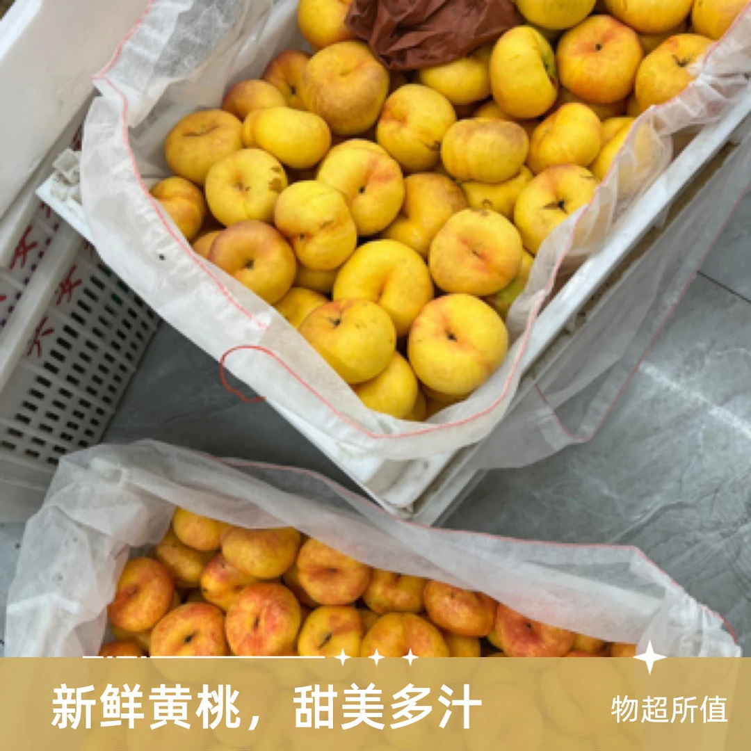黄蟠桃纯甜多汁4斤山东省