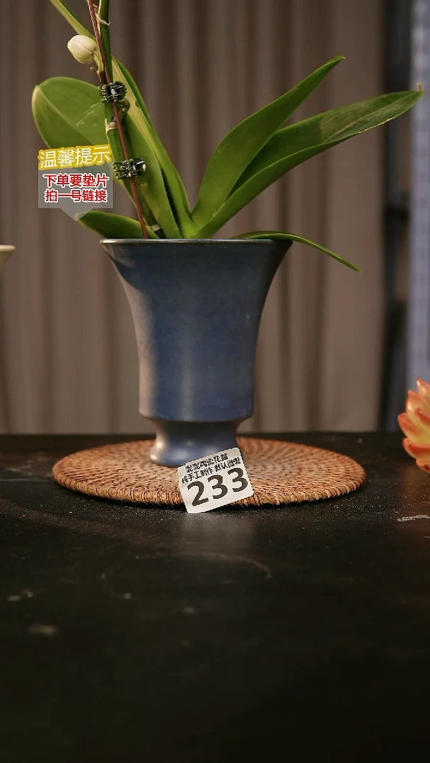 瓷片内口径  11.12外高约14.15