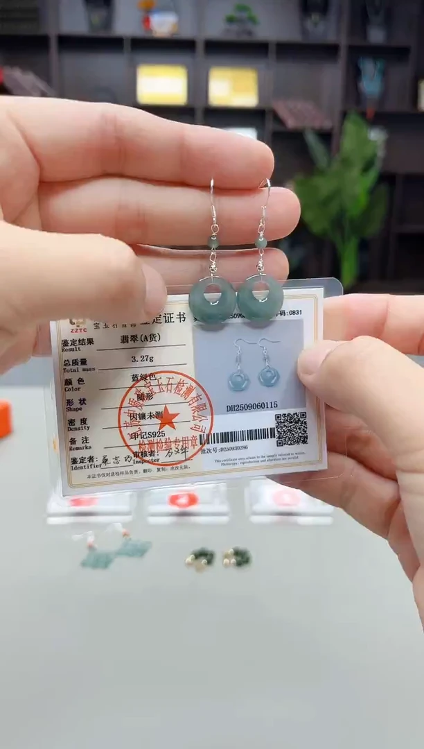 未镶嵌翡翠耳饰X14