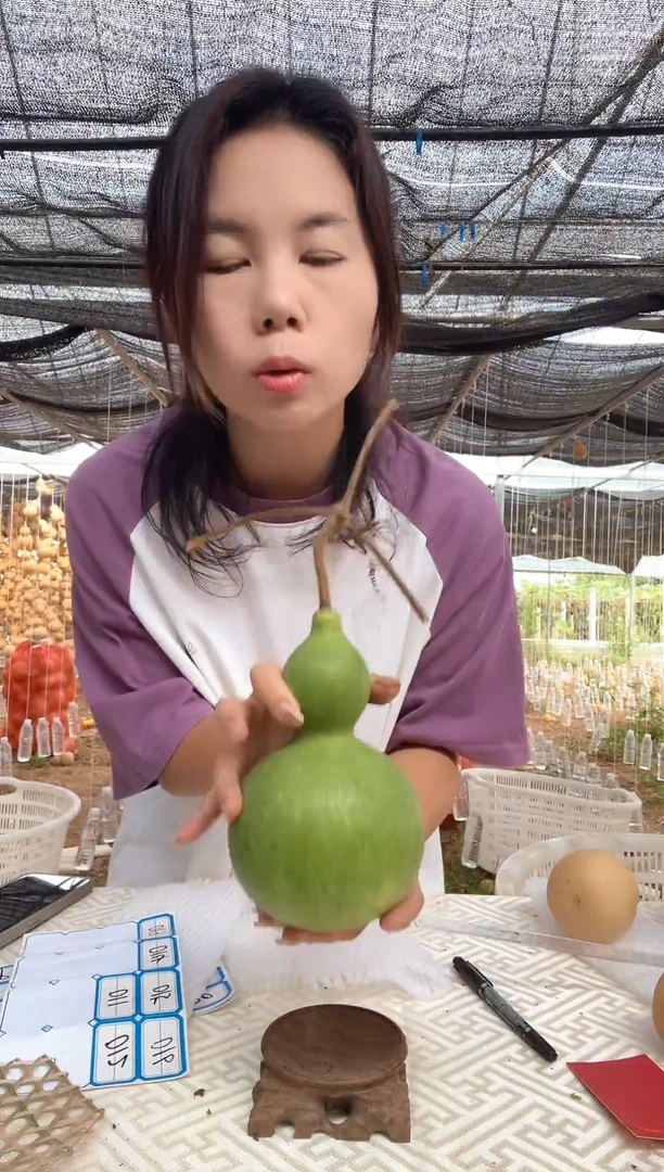 011天然葫芦摆件 一物一拍