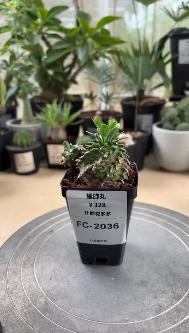 螺旋丸FC-2036