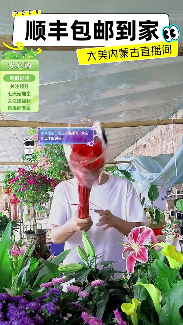 完全开放红色大麦