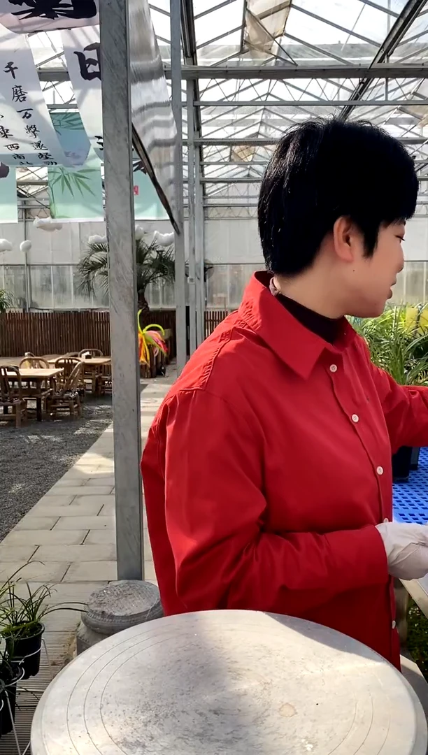 【闪购商品】龙香，·