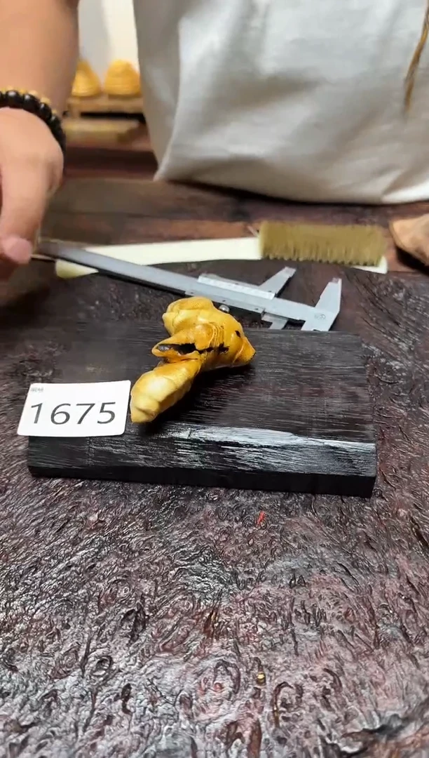 竹1675竹竹竹竹竹竹竹