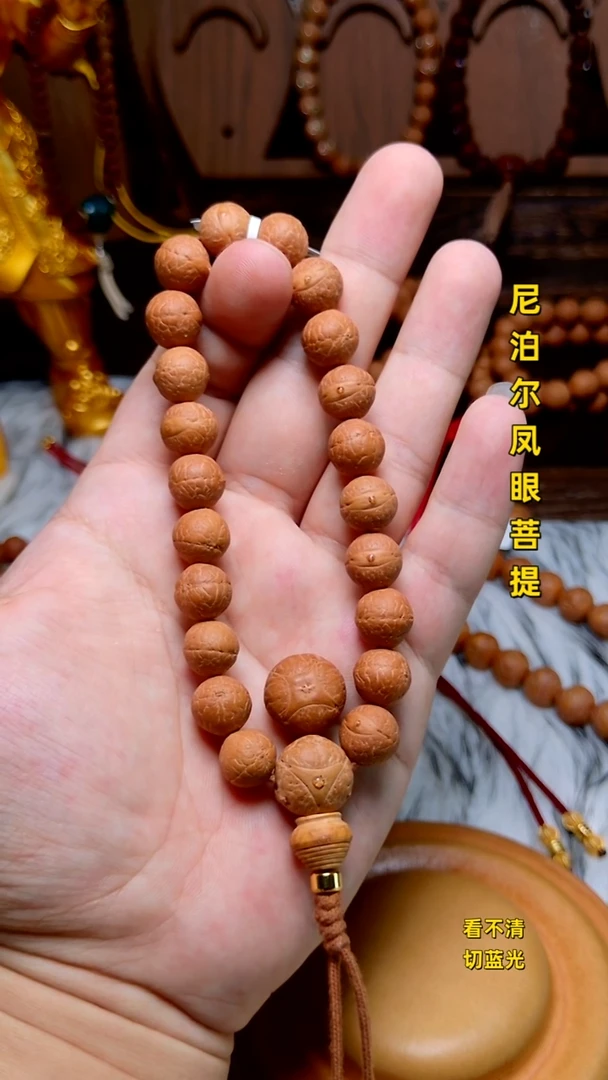 手串凤眼菩提新籽11.5