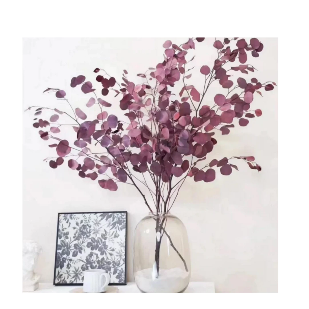 【陌上花开】紫气东来-苹果叶  年宵花 干花直接插瓶