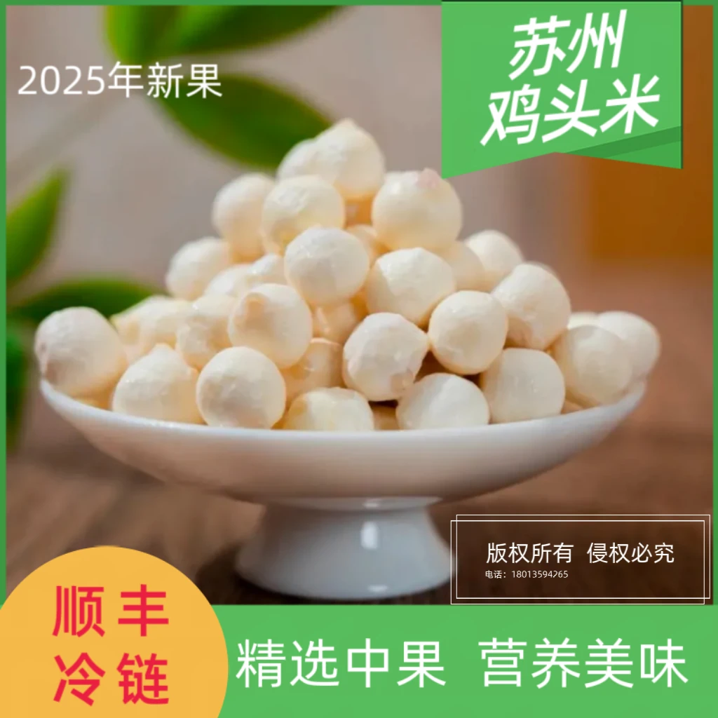 【6-8中颗粒】2025 年苏州特产鸡头米芡实新鲜发货机剥 农户直发  1