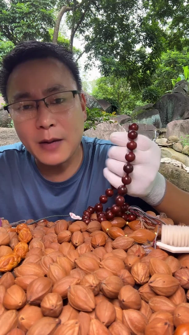 橄榄核手串20大尺寸梅林红核原生态素串99