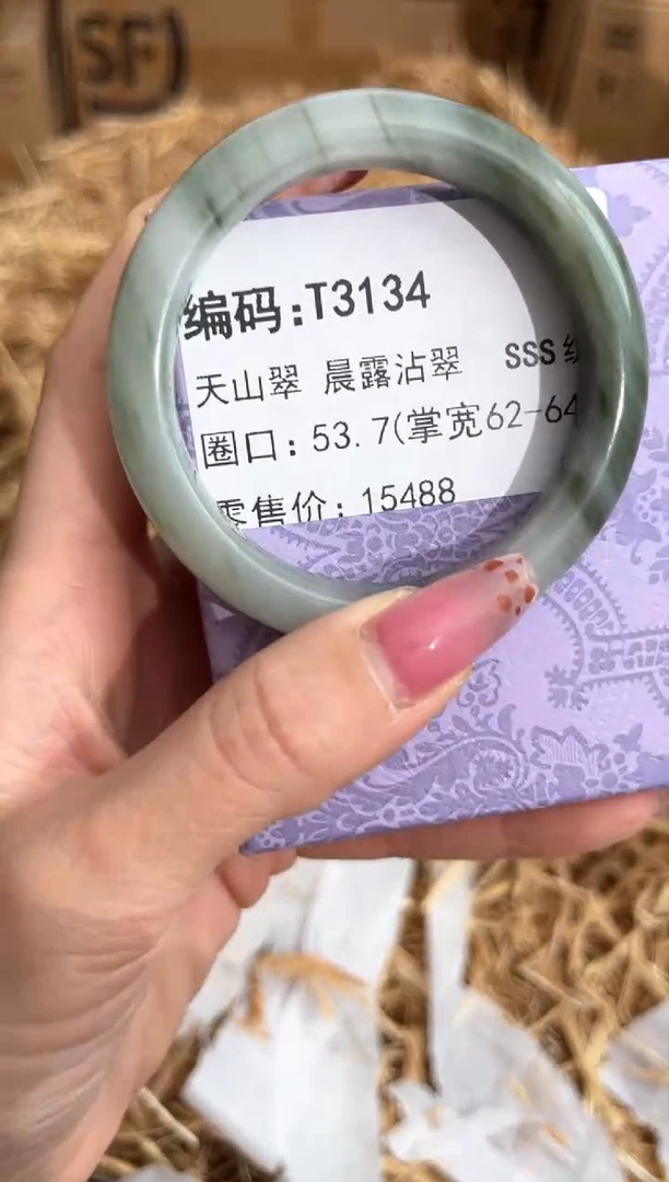 未镶嵌手镯石英质玉T3134
