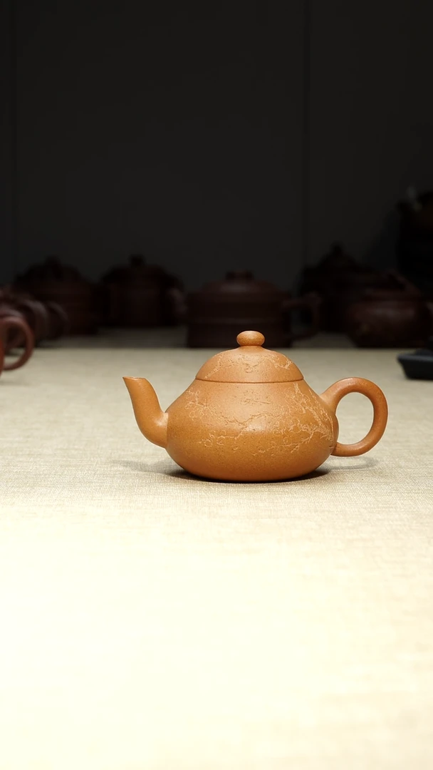 茶壶段泥3****你梨好160毫升