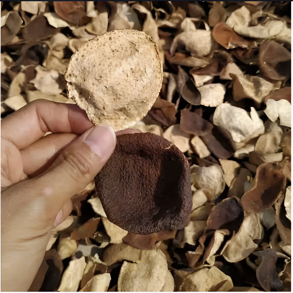 农家自卖陈皮茶花草茶陈皮干橘皮泡水泡茶