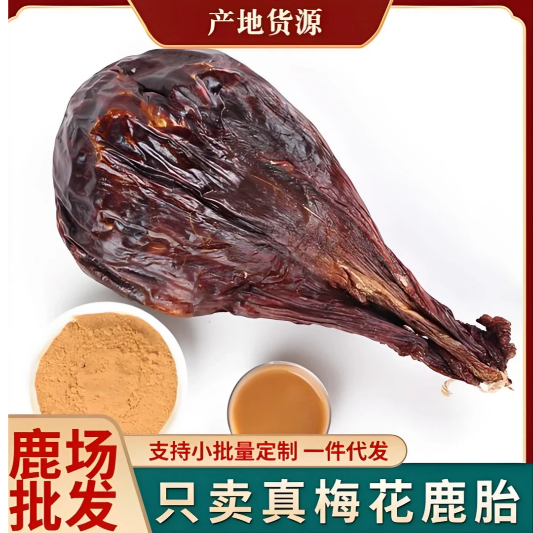 鹿乡原产地 梅花鹿鹿胎 整只