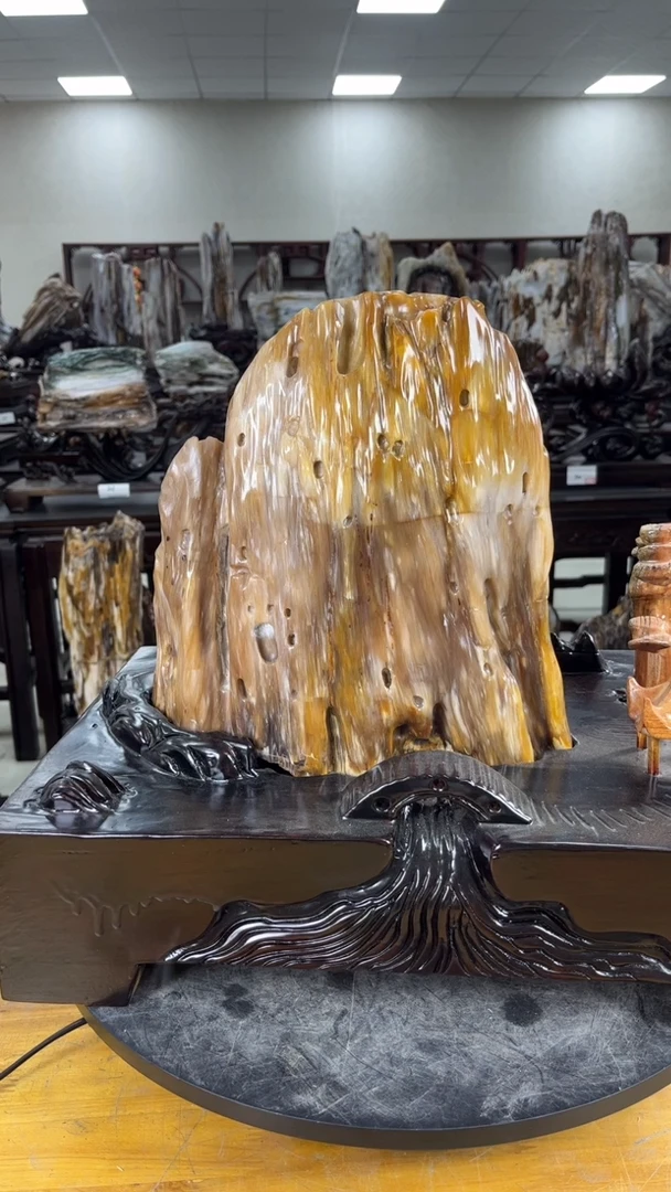 【闪购商品】硅化玉珠宝奇石未镶嵌1