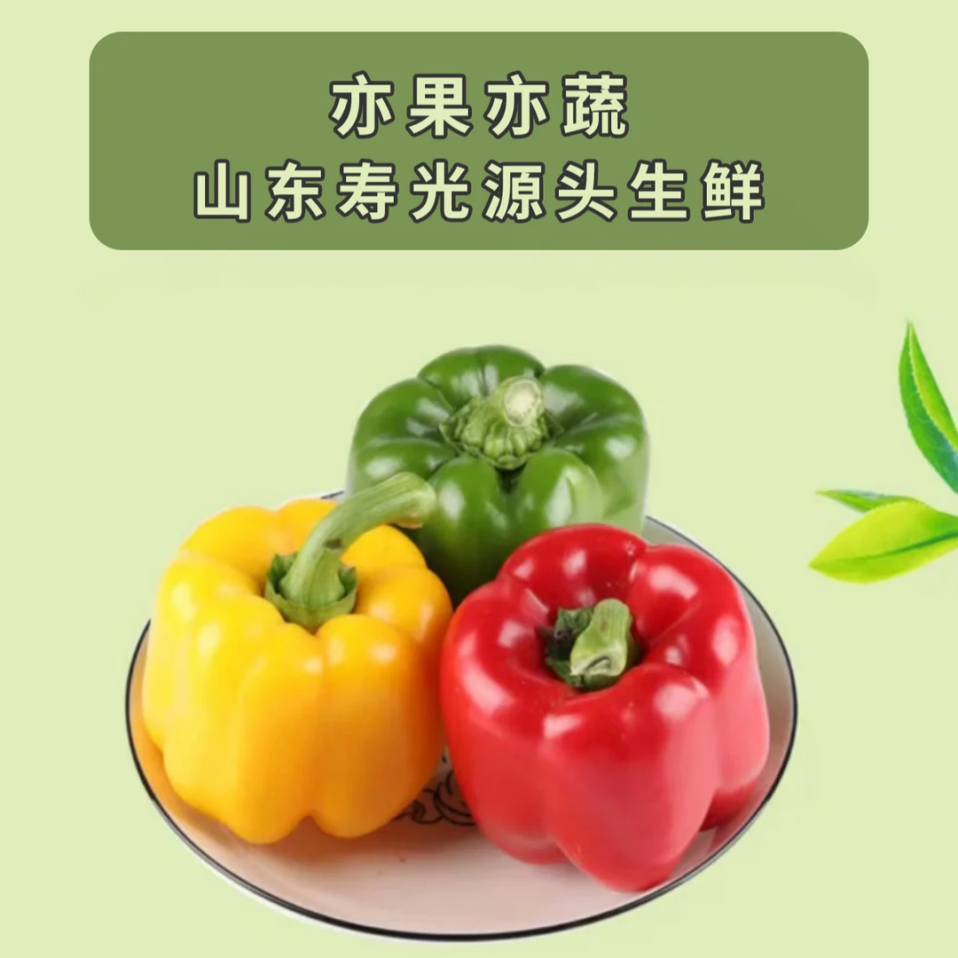 五彩椒山东寿光特菜圆彩椒水果彩椒生吃脆甜明星同款包邮发货