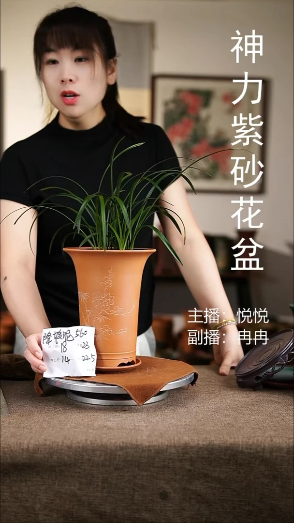 紫砂花盆紫砂花盆560+z