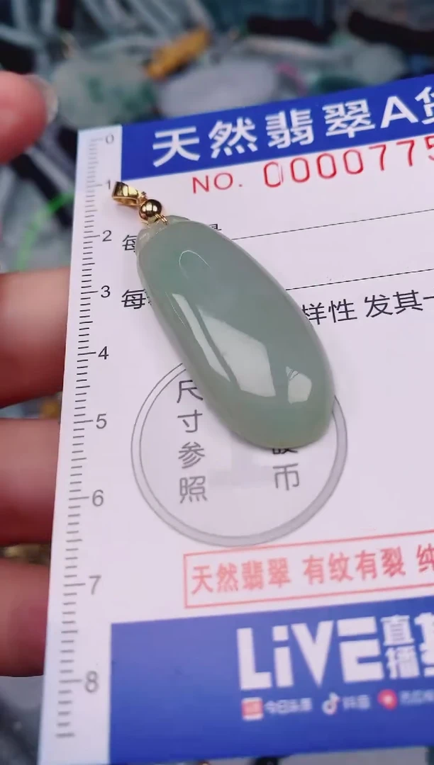颈饰未镶嵌翡翠00000775