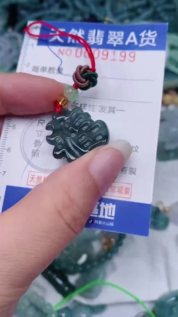 翡翠未镶嵌颈饰00009199