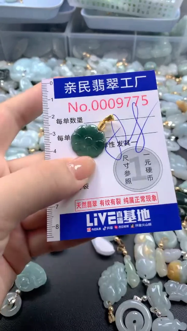 颈饰未镶嵌翡翠9775