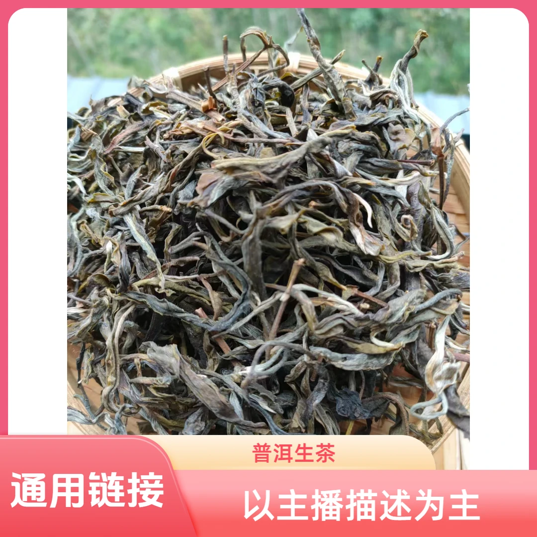 通用链接【2025年 地界单株 普洱生茶散茶】