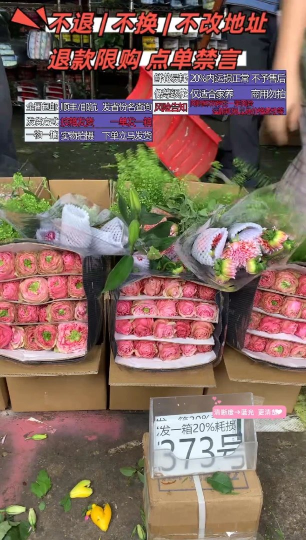 373号♥含20%耗损发一箱