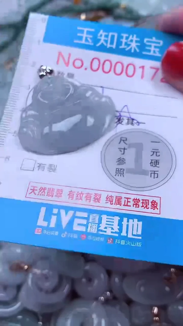 吊坠(不含链)未镶嵌翡翠172