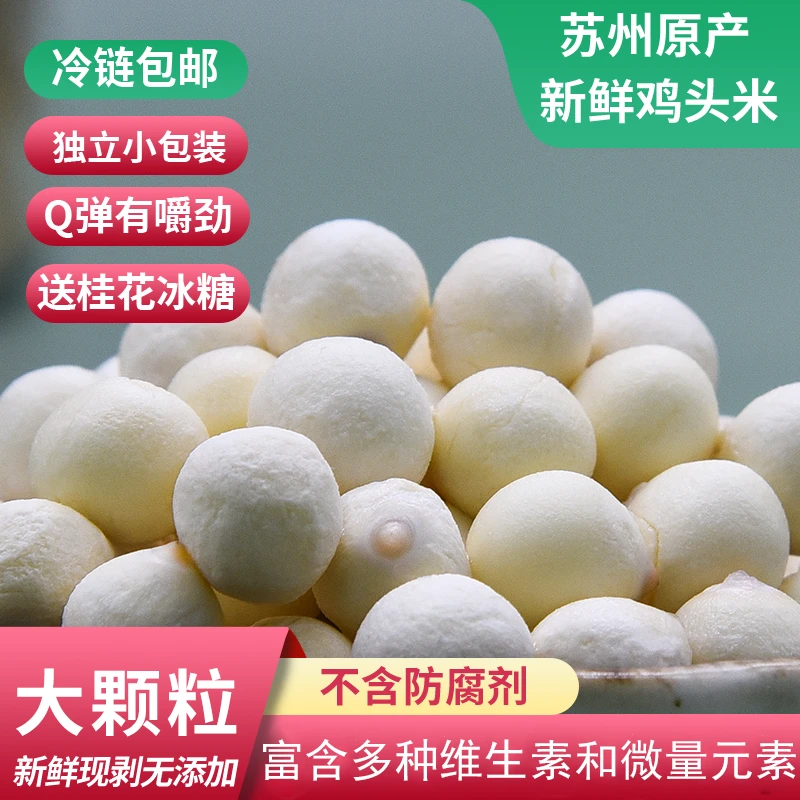 【苏州大颗粒鸡头米】苏州特产新鲜鸡头米新鲜采摘1斤/2斤