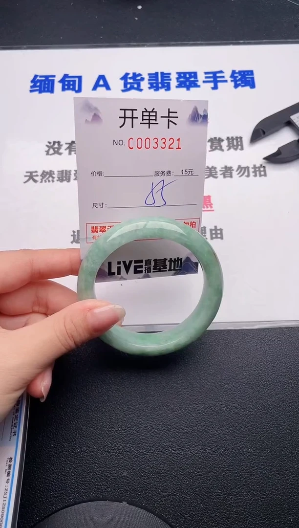 未镶嵌手镯翡翠21