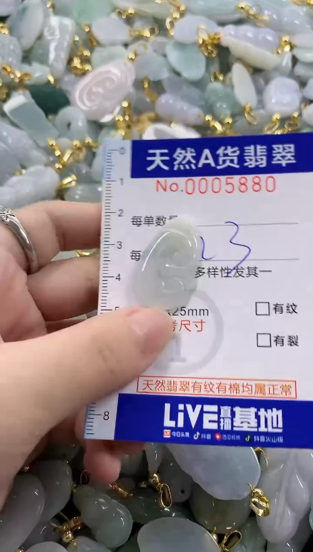 颈饰未镶嵌翡翠天然A货翡翠