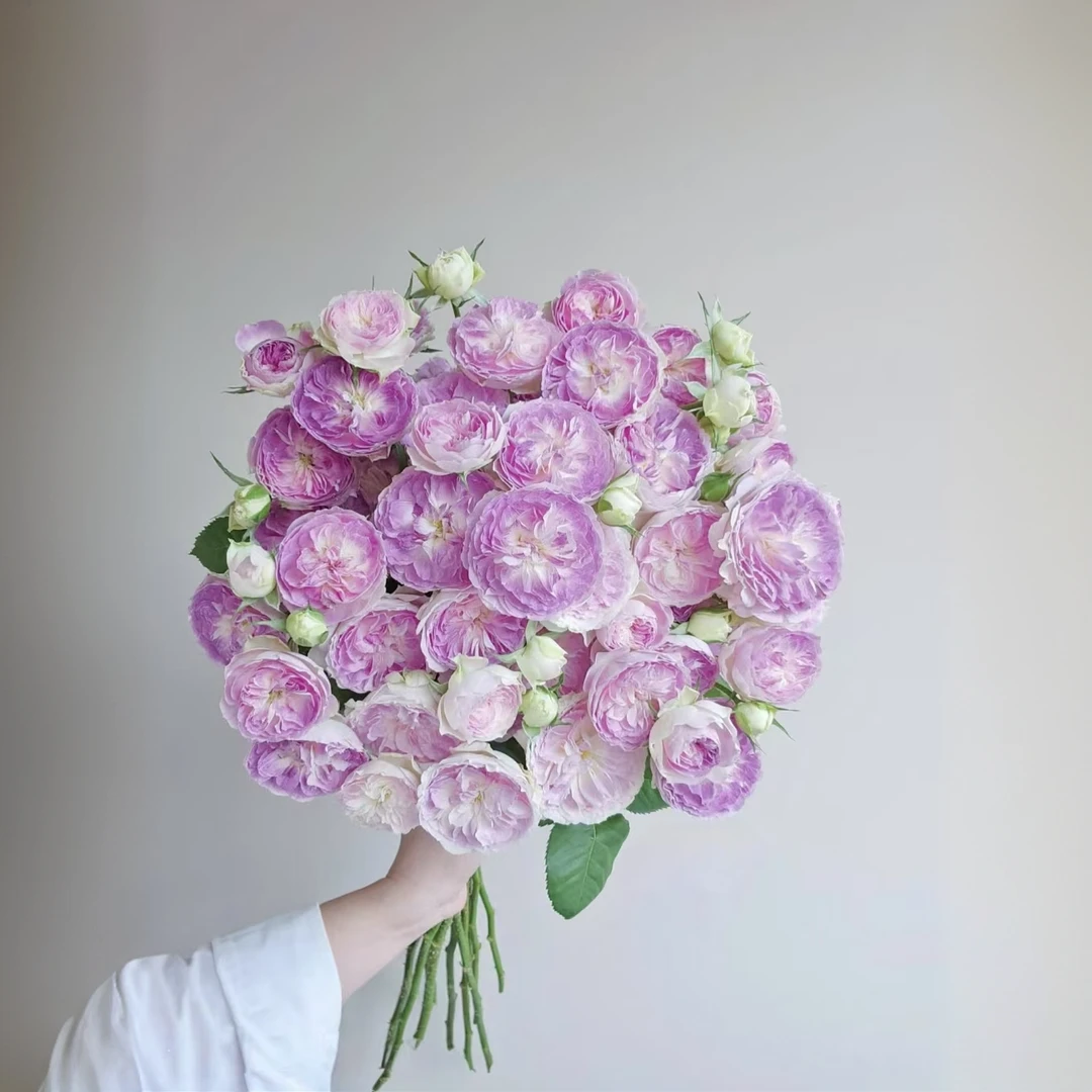 【秦小胖】蓝月石多头玫瑰（注意：特殊花材收到带包装醒花）