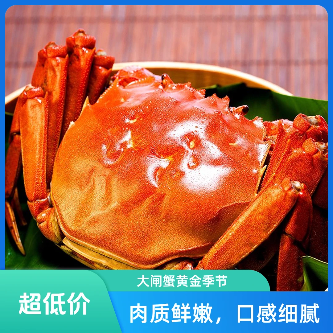 【活蟹】江苏大闸蟹全母蟹3.5-3.2两 8只送2只 顺丰京东冷链